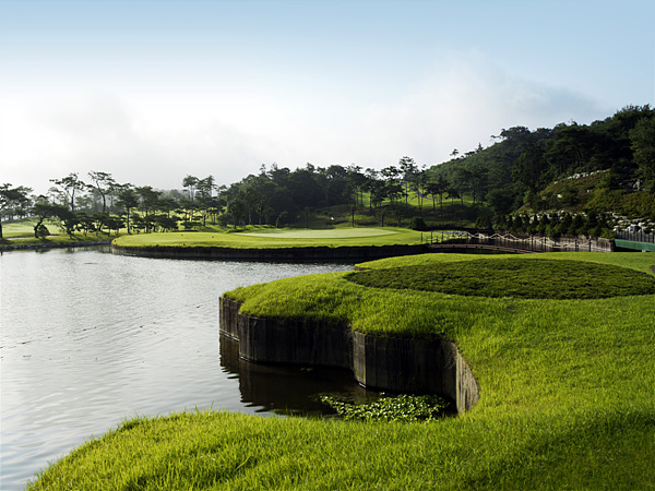 2df77aaffba23cd51c42227826e6cdb8_1581482