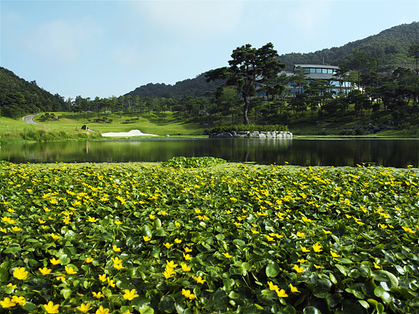 2df77aaffba23cd51c42227826e6cdb8_1581482