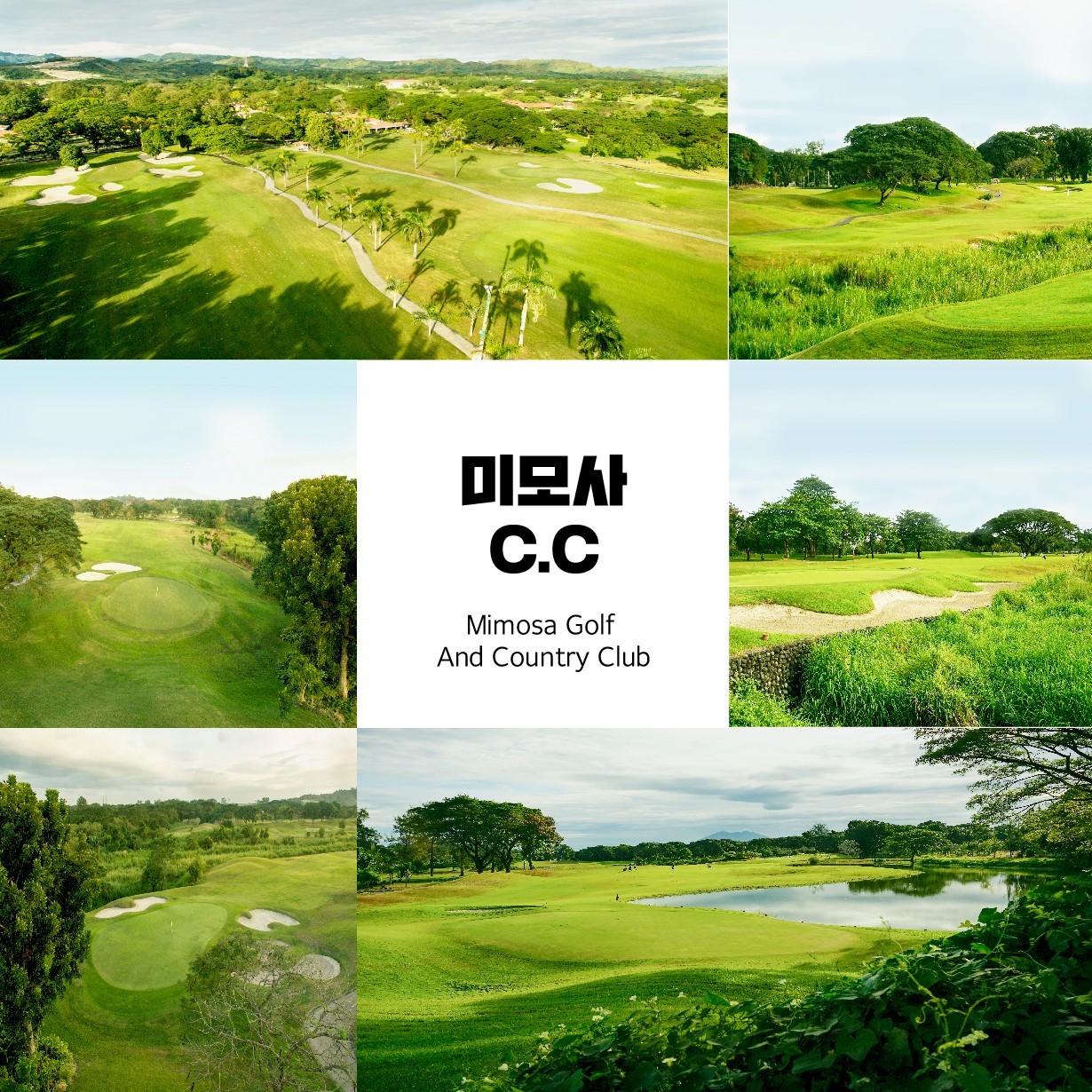 4d9628103c93f91242308a0c1726044b_1672016