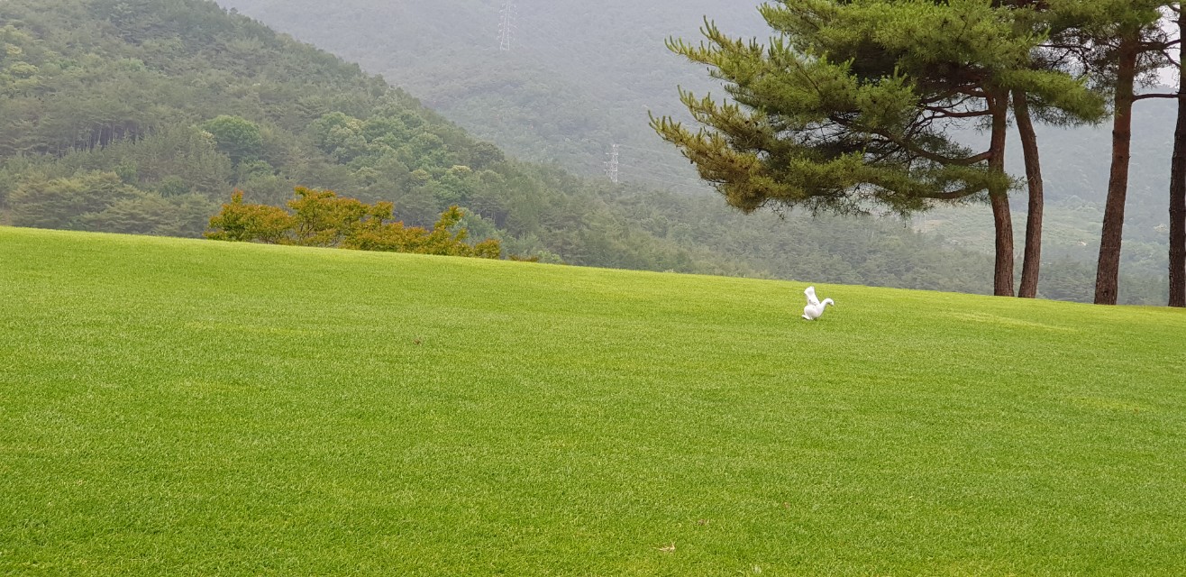 60091c500daa81098ce0d7a15bcf1b07_1692767