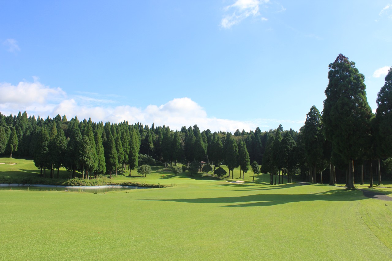 476fdaf9772112f4dc6aa532ea92ca51_1719374