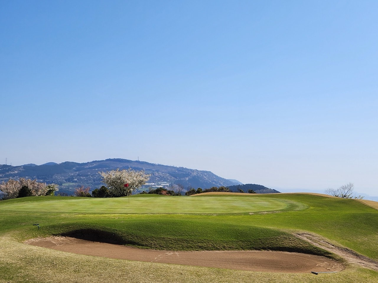 4da1590a86174f232c19018951690359_1719303