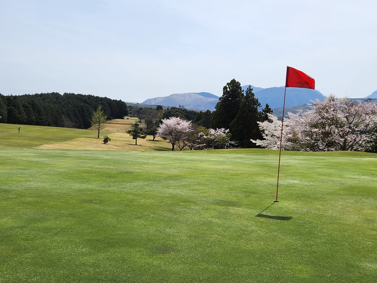 4da1590a86174f232c19018951690359_1719303