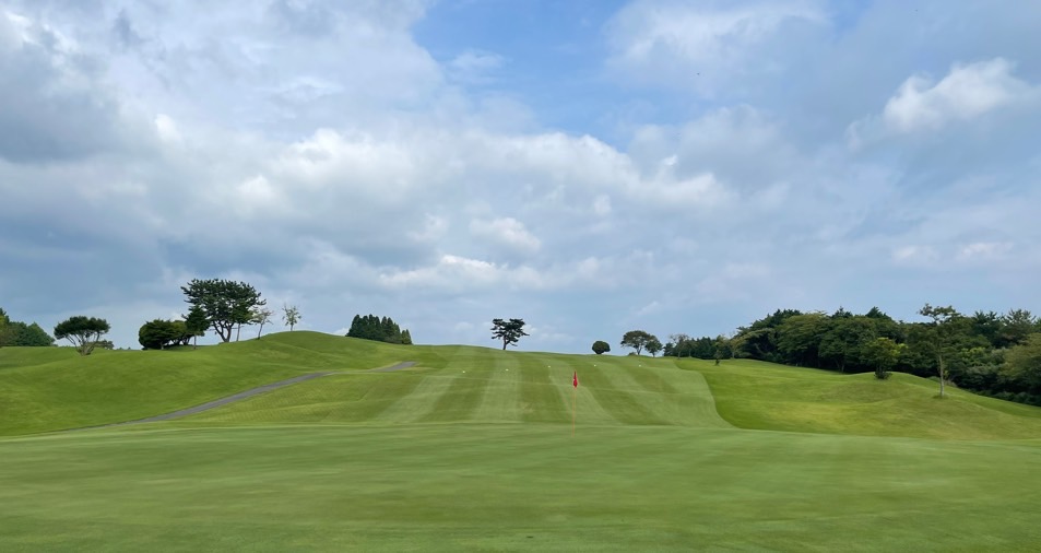 4da1590a86174f232c19018951690359_1719303