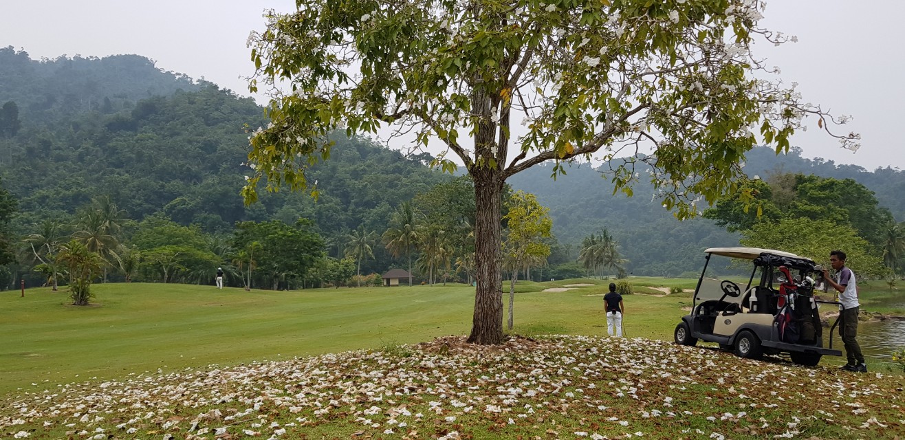 bf6810c9a9f13f1da9956218e38578e8_1730344