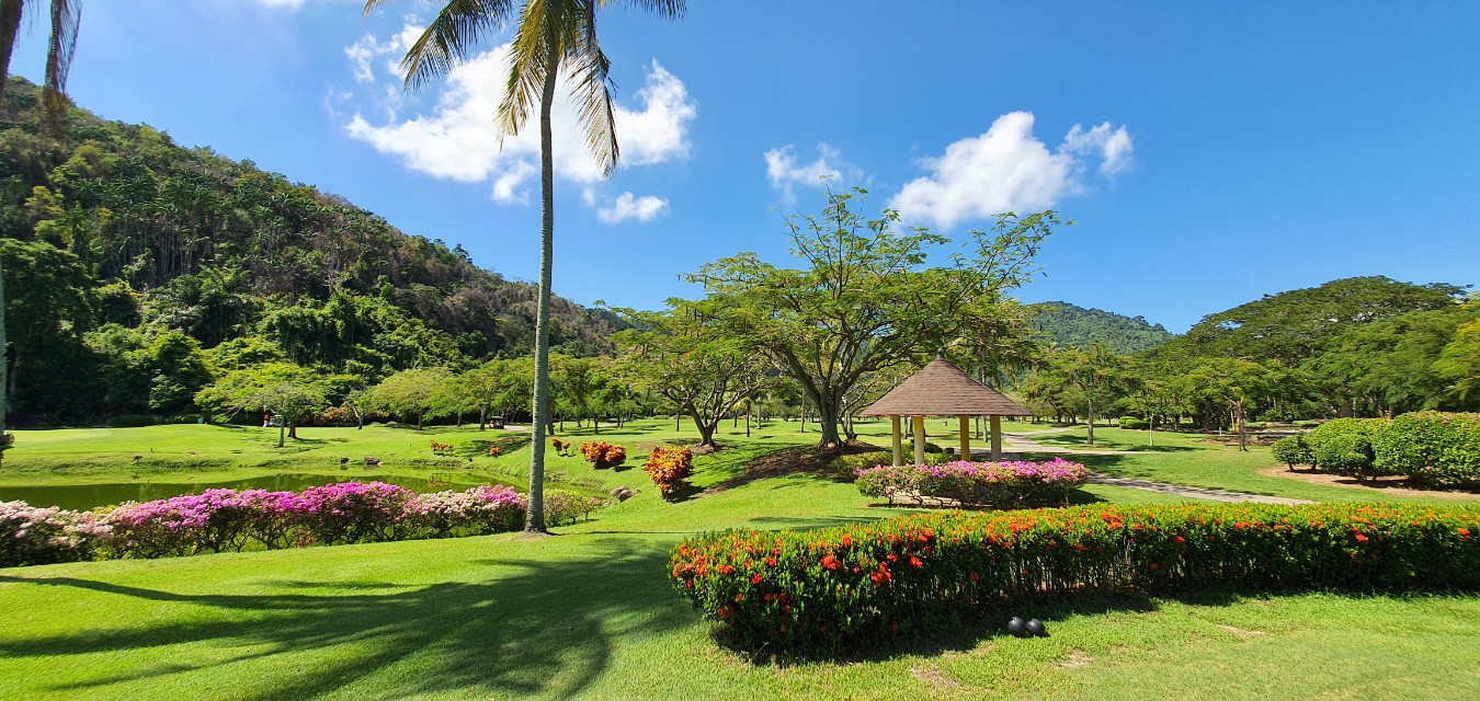 bf6810c9a9f13f1da9956218e38578e8_1730344