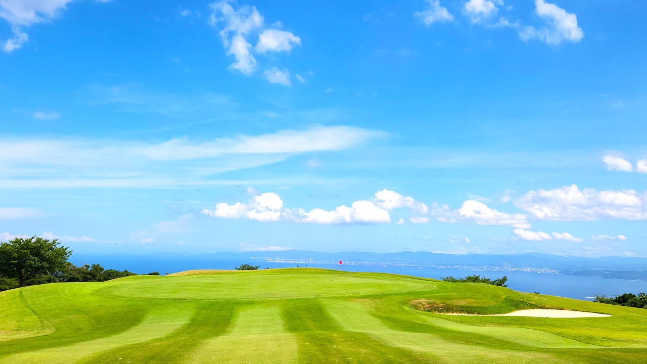 494ce6dc3040d038a18db2aa35c07f52_1732785