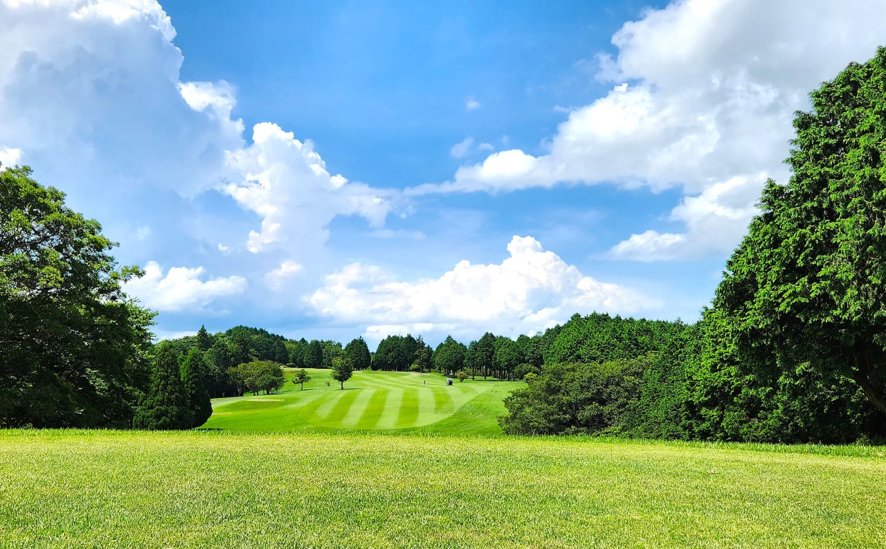 494ce6dc3040d038a18db2aa35c07f52_1732785