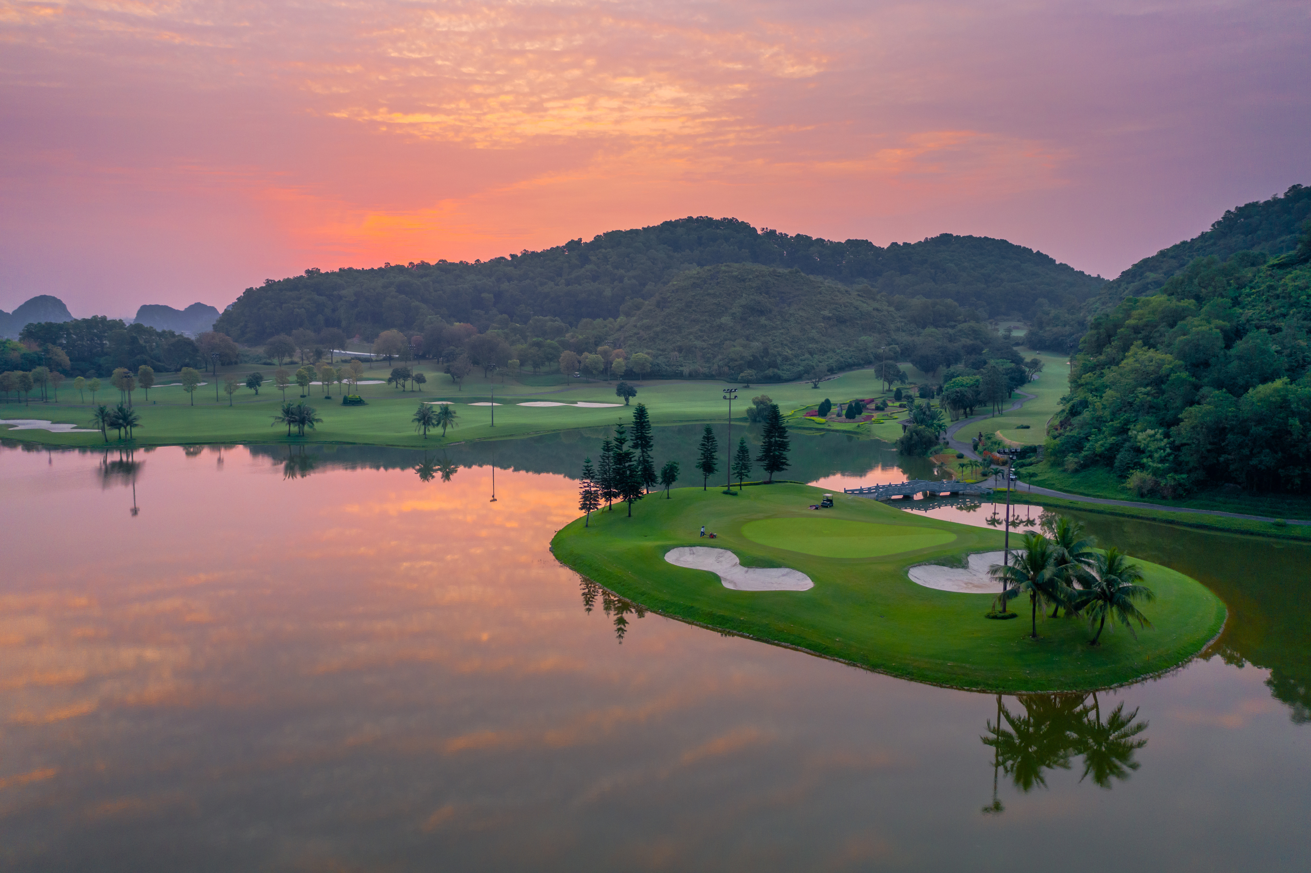 494ce6dc3040d038a18db2aa35c07f52_1732786