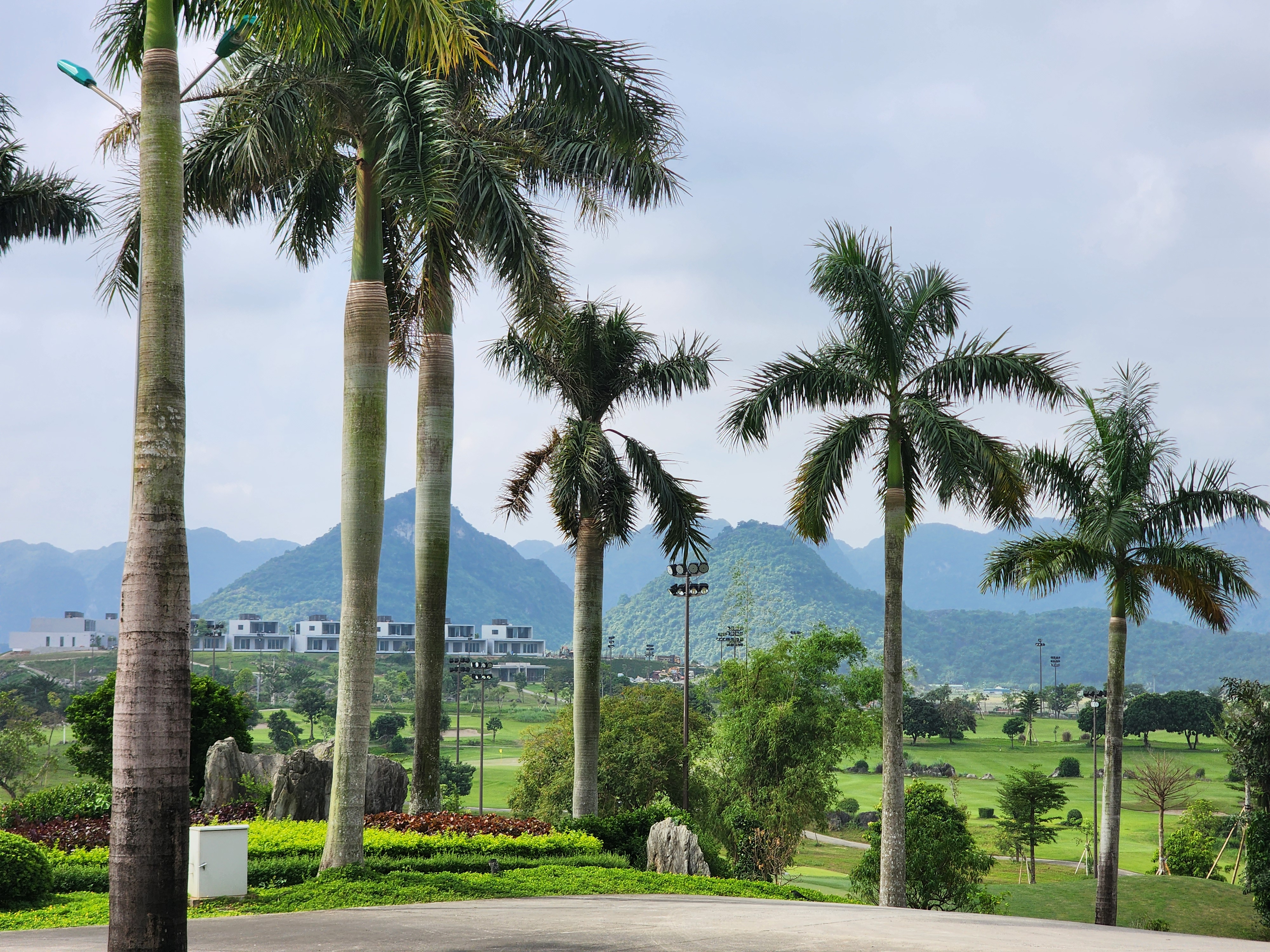 494ce6dc3040d038a18db2aa35c07f52_1732786