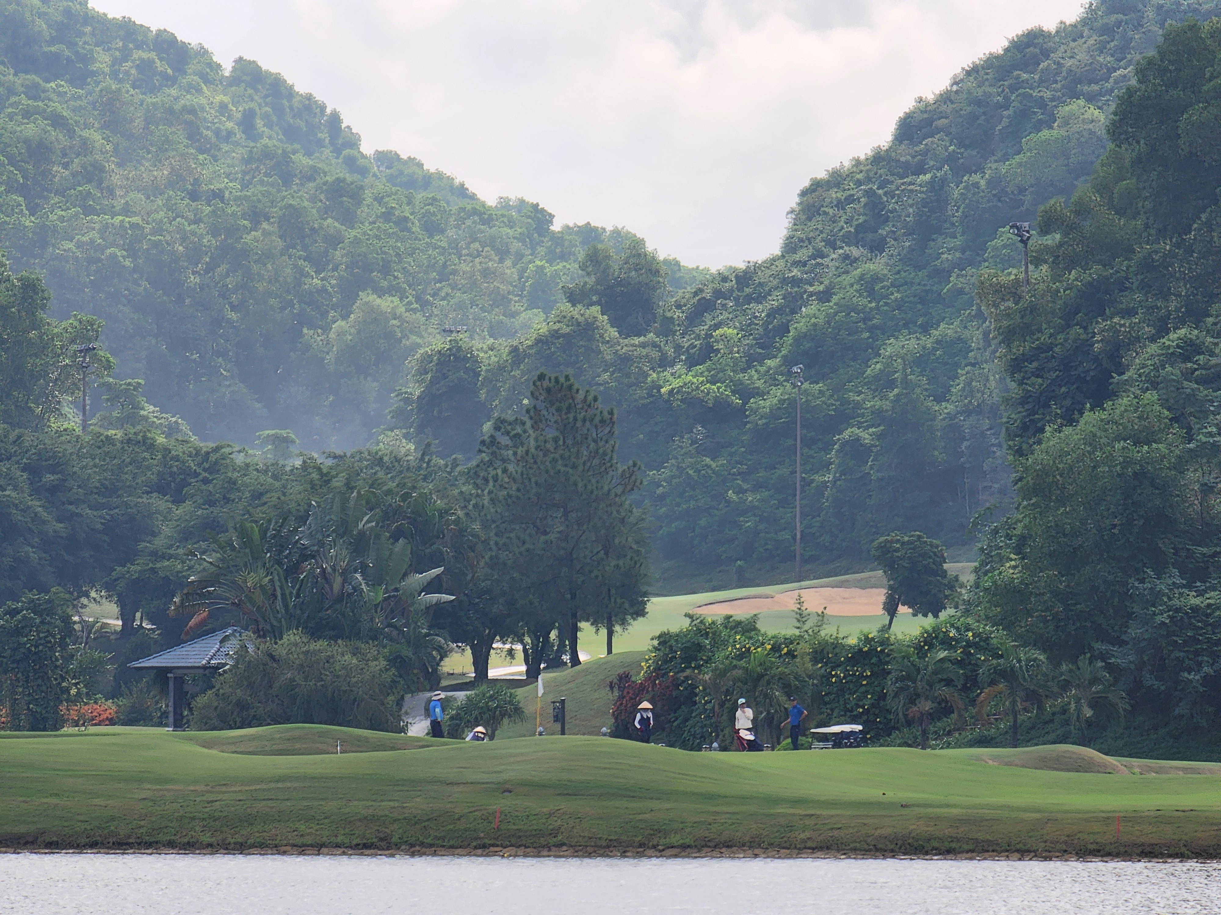 494ce6dc3040d038a18db2aa35c07f52_1732786