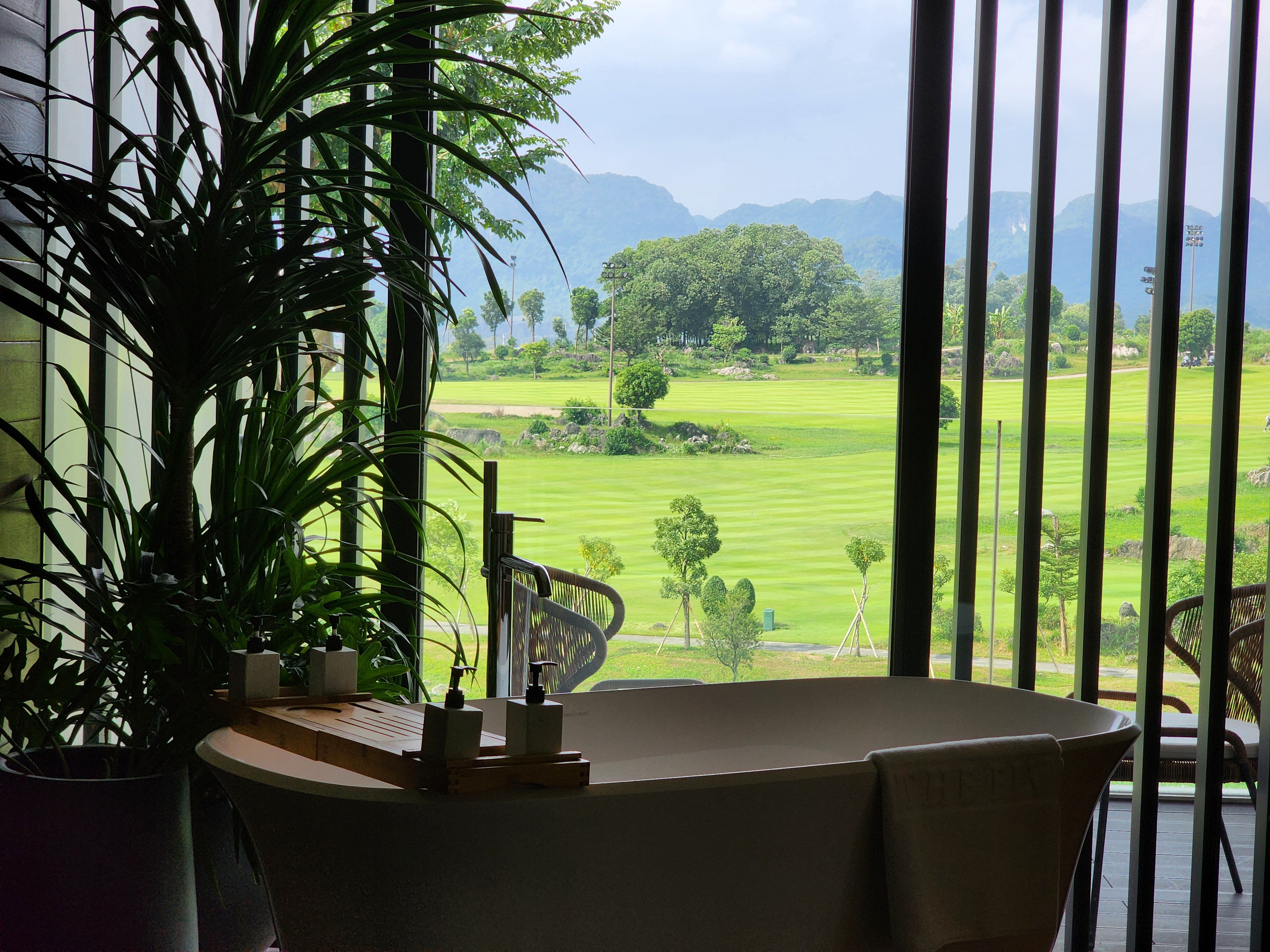 494ce6dc3040d038a18db2aa35c07f52_1732786