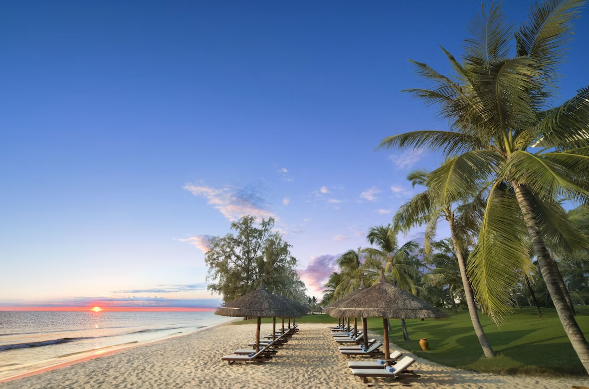 fb1bddf90df8effc3c18bda8a222a18d_1731974