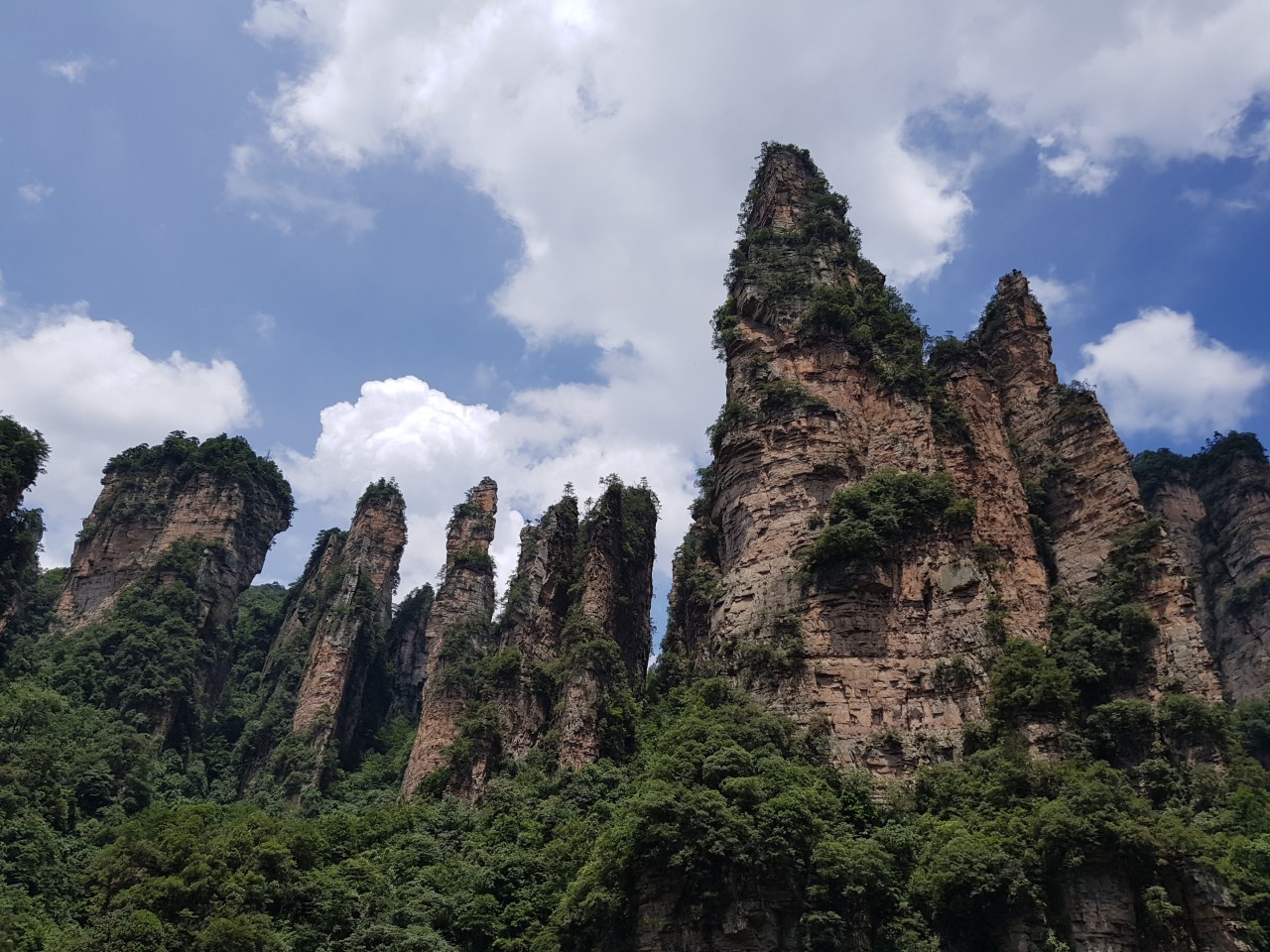 145d3390f2576d0976a2f9eef000de18_1733397