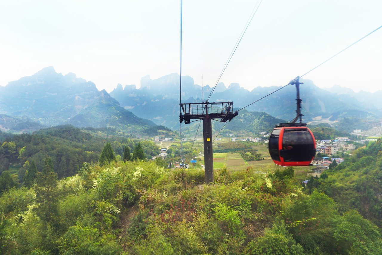 145d3390f2576d0976a2f9eef000de18_1733397