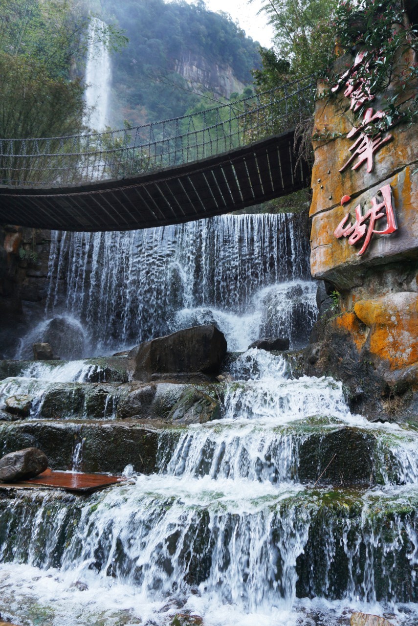 145d3390f2576d0976a2f9eef000de18_1733397