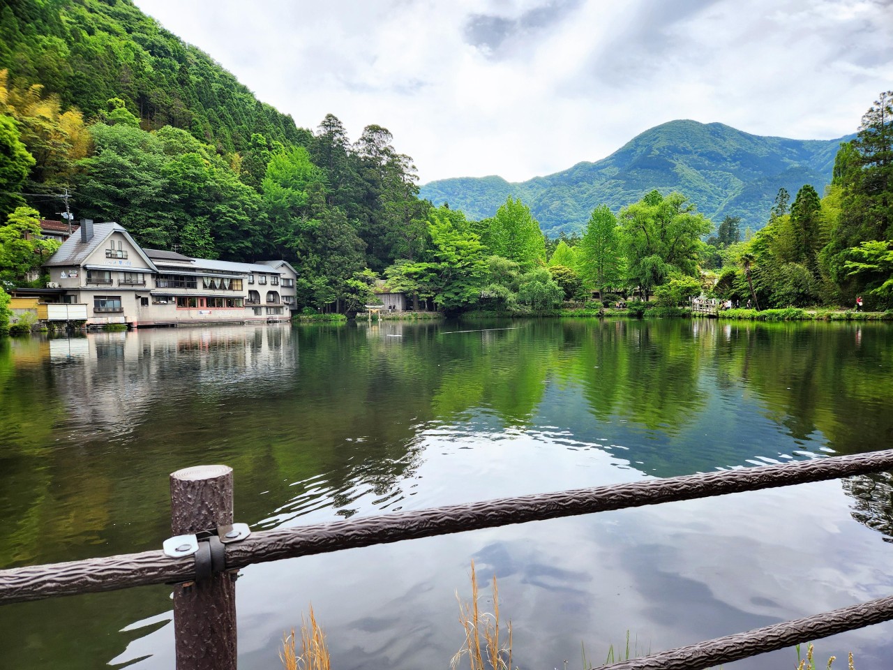 3a5d009495791350d0629ba6a50f1185_1733302