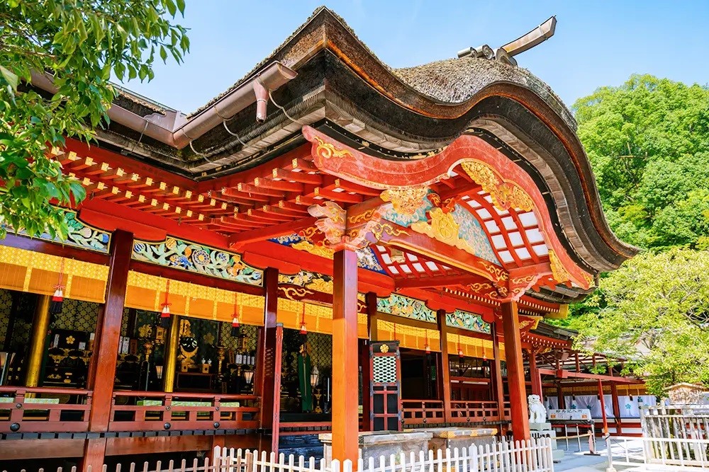 3a5d009495791350d0629ba6a50f1185_1733302