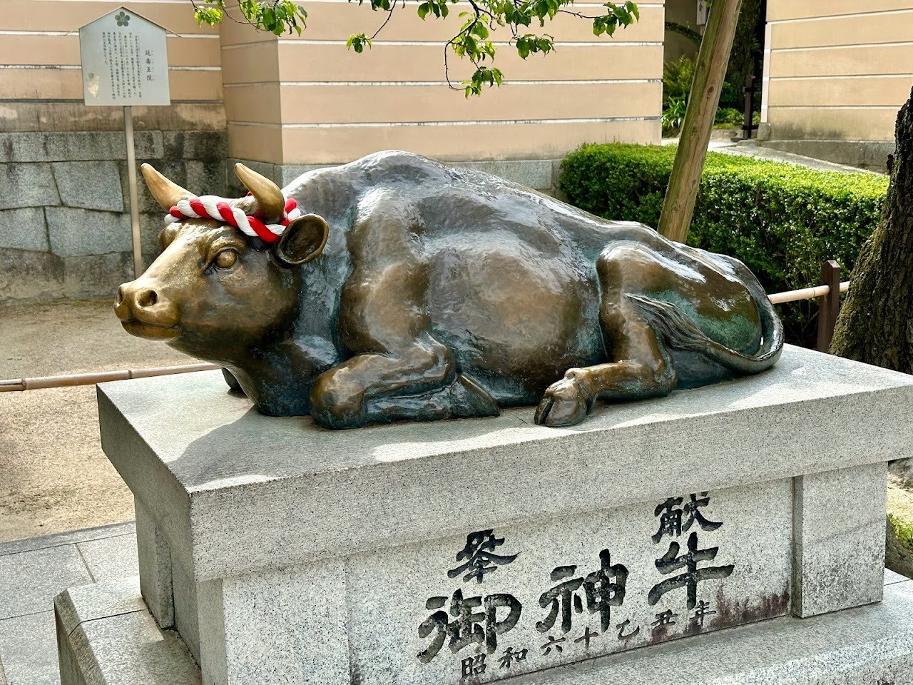 3a5d009495791350d0629ba6a50f1185_1733302