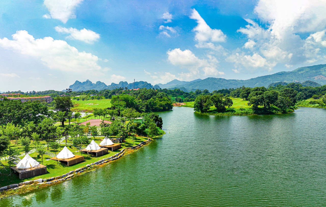 56de8fceca3fe32a56a196803d517de0_1734597