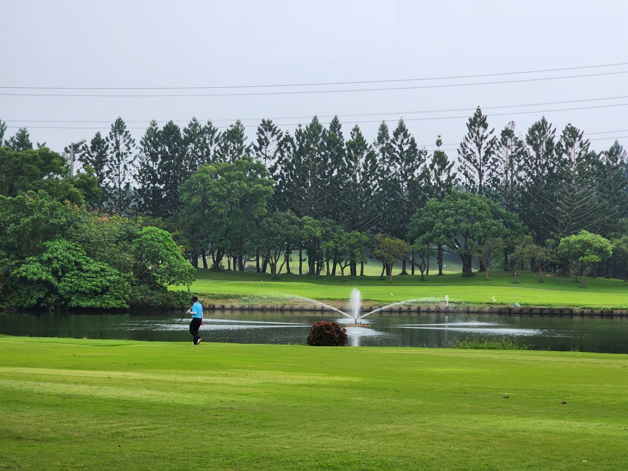 a3add1bbf0cacb1c7b54190fa15b16ec_1733286