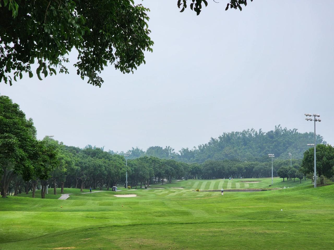 a3add1bbf0cacb1c7b54190fa15b16ec_1733286