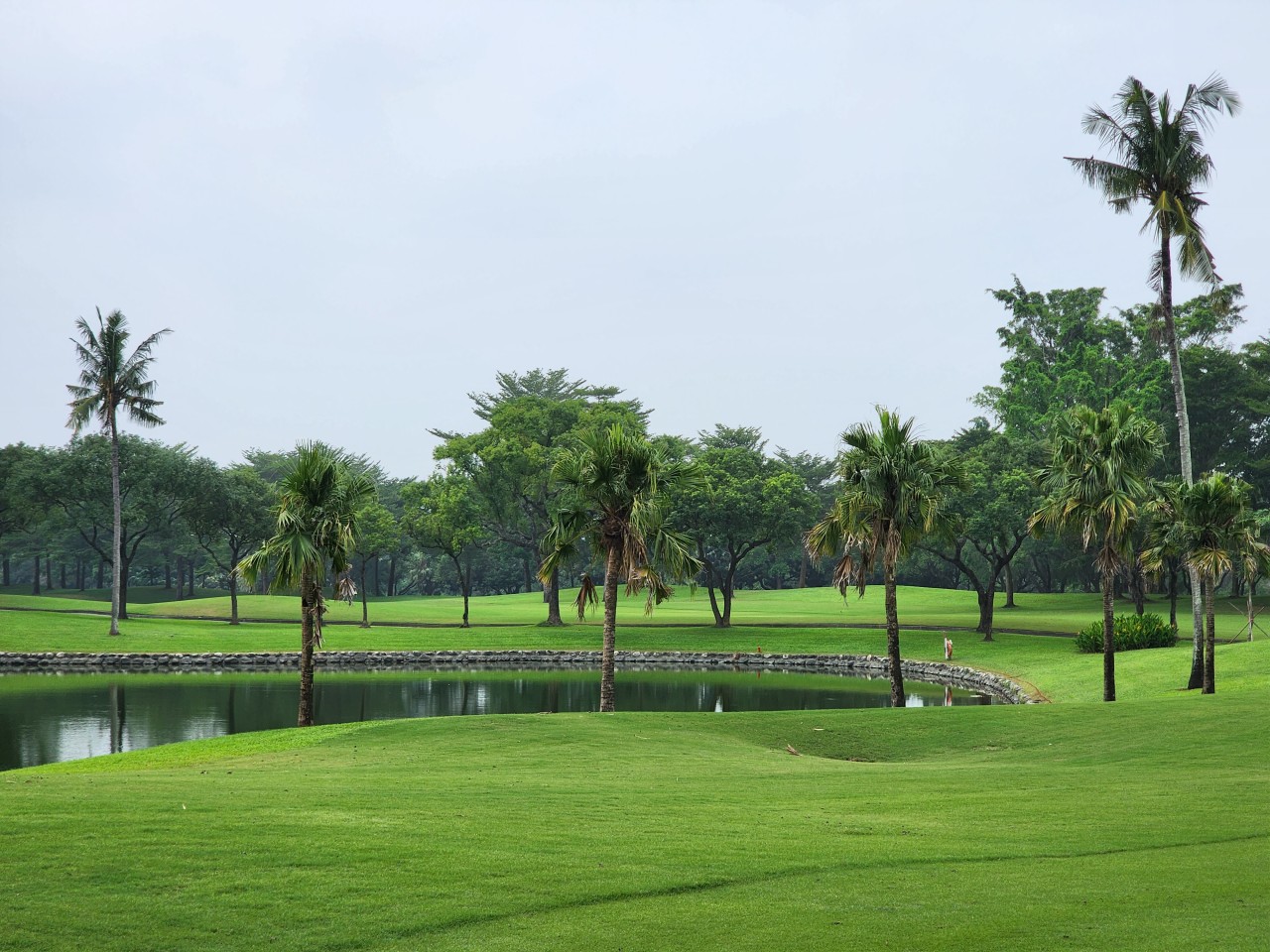 a3add1bbf0cacb1c7b54190fa15b16ec_1733286