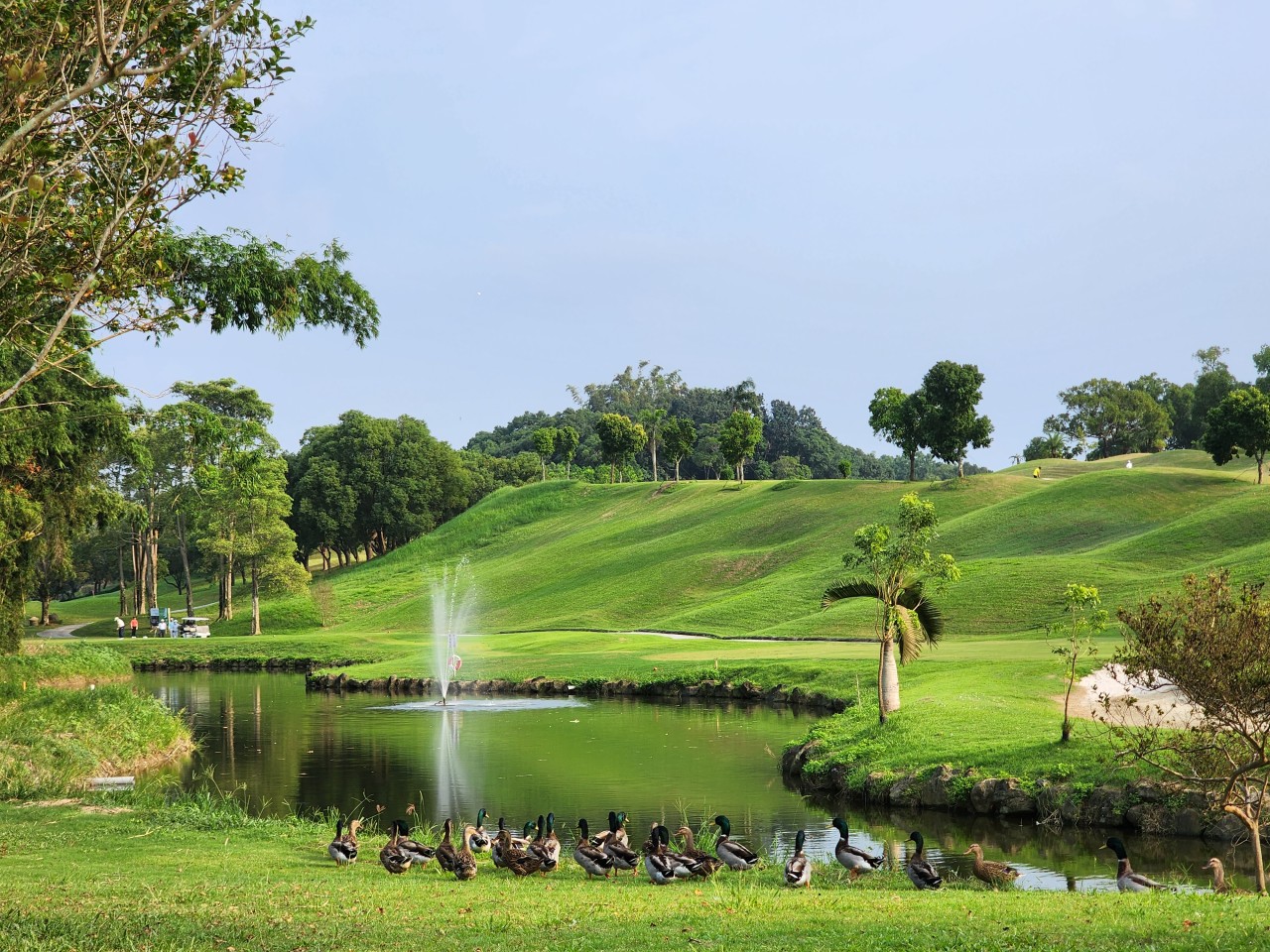 a3add1bbf0cacb1c7b54190fa15b16ec_1733286