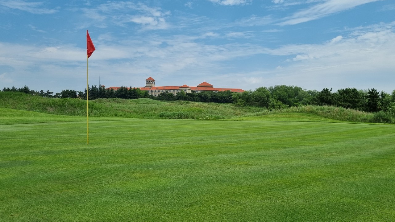 80ba582ae7f807e6a7a2043e3bb6e5e7_1737521