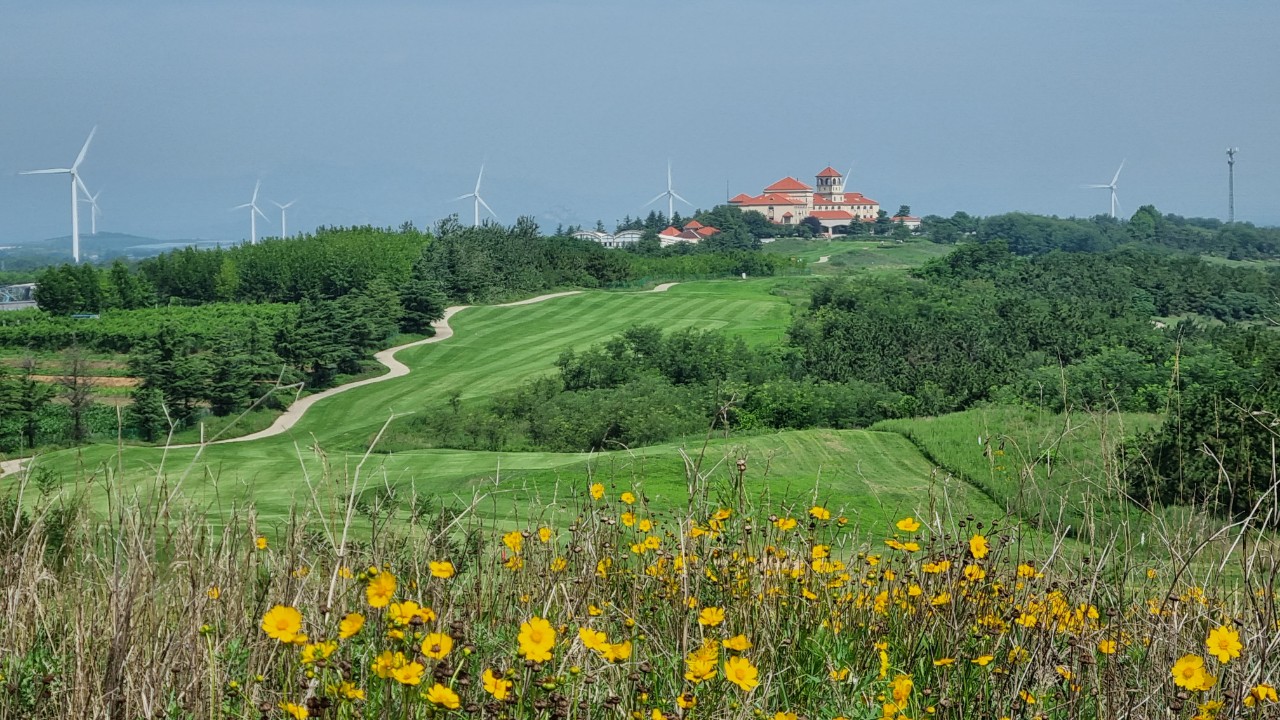 80ba582ae7f807e6a7a2043e3bb6e5e7_1737521