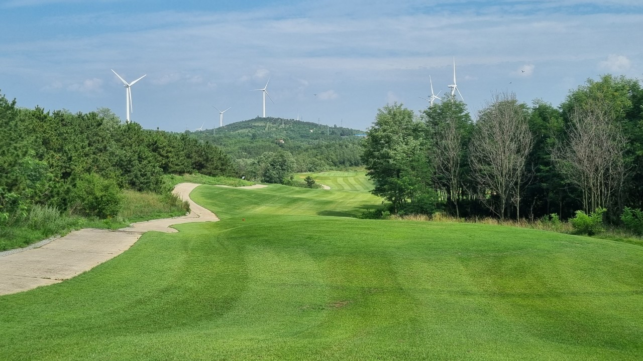 80ba582ae7f807e6a7a2043e3bb6e5e7_1737521