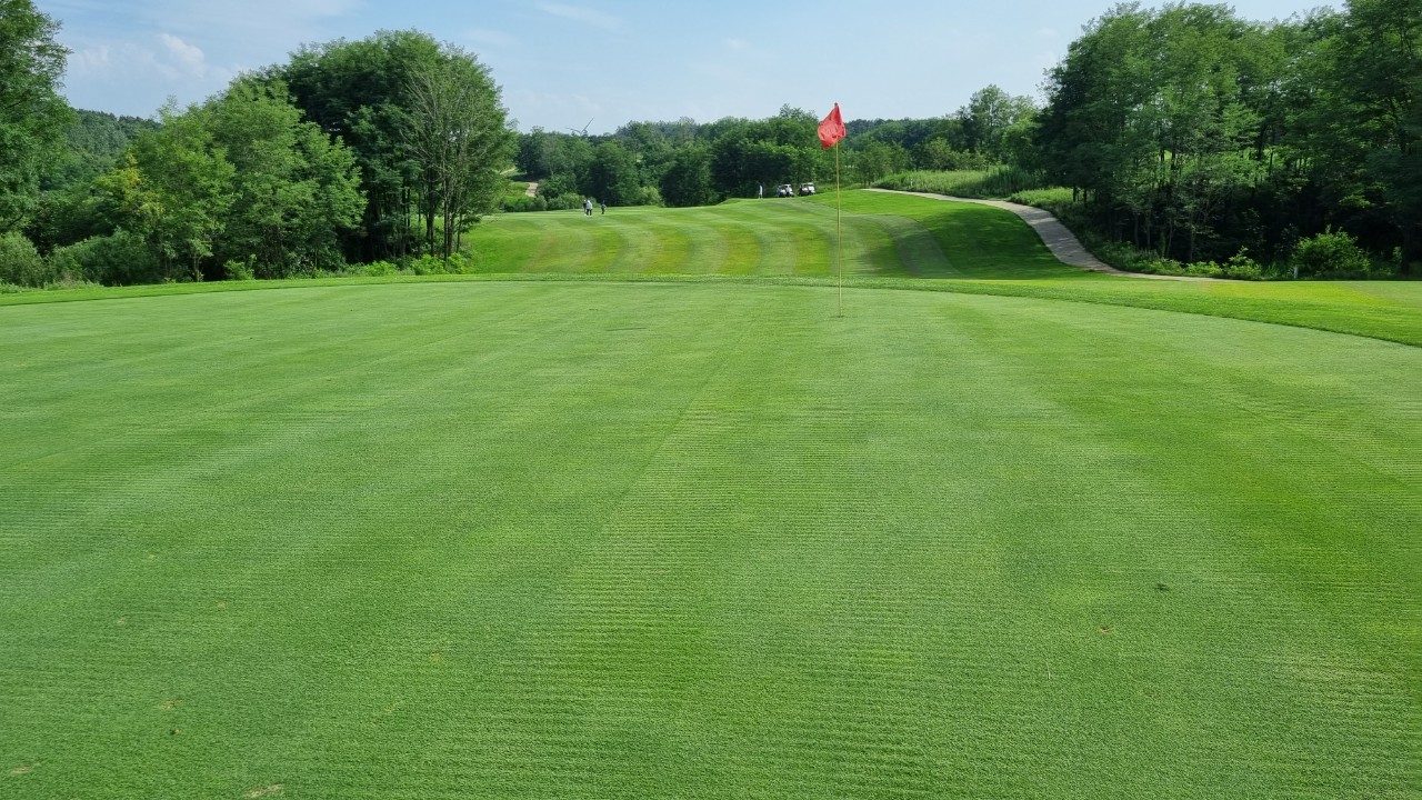 80ba582ae7f807e6a7a2043e3bb6e5e7_1737521