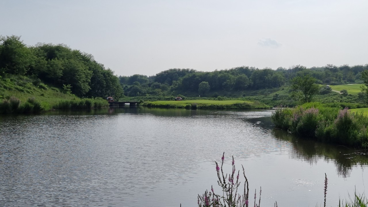 80ba582ae7f807e6a7a2043e3bb6e5e7_1737521