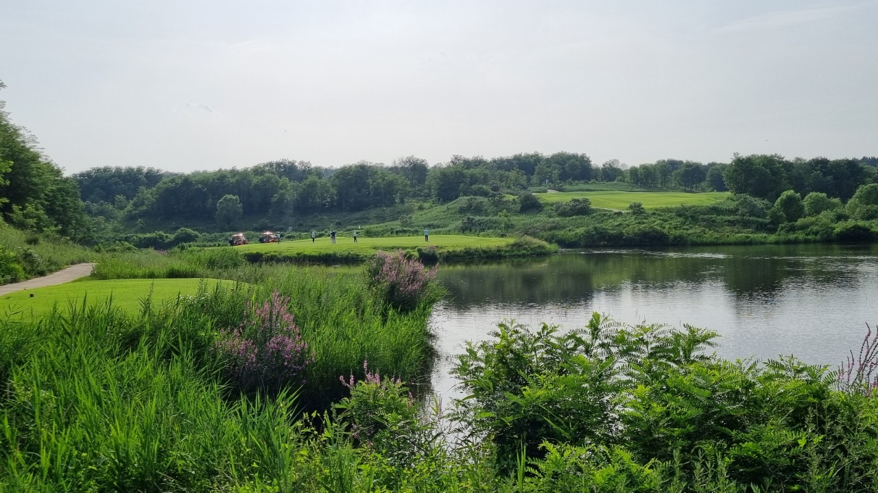 80ba582ae7f807e6a7a2043e3bb6e5e7_1737521