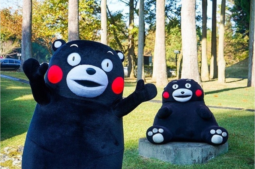 e48f5e6a64c5ffd8bc07f8c77d02d82a_1736406