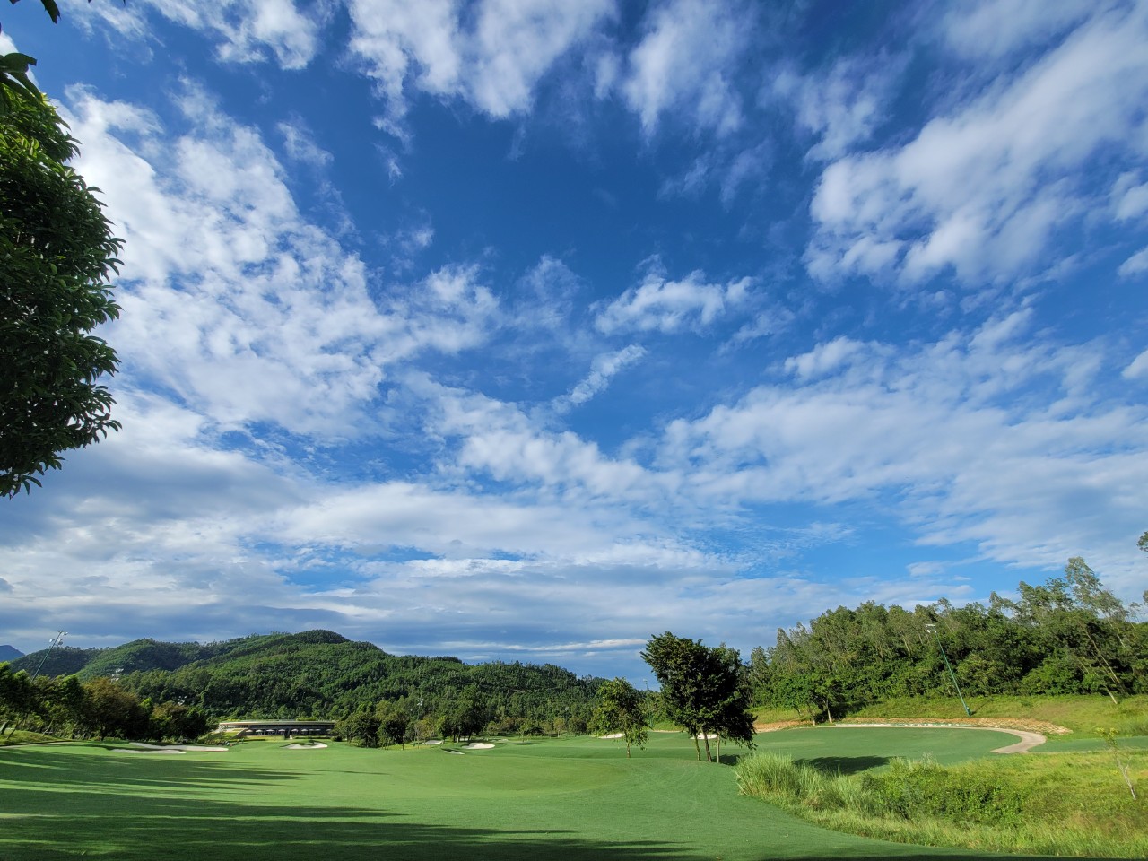 c4e4265d8837a05741f9d33e9fdf767c_1742538