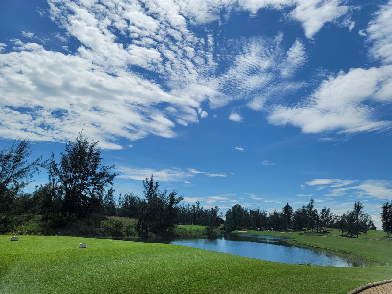 c4e4265d8837a05741f9d33e9fdf767c_1742538