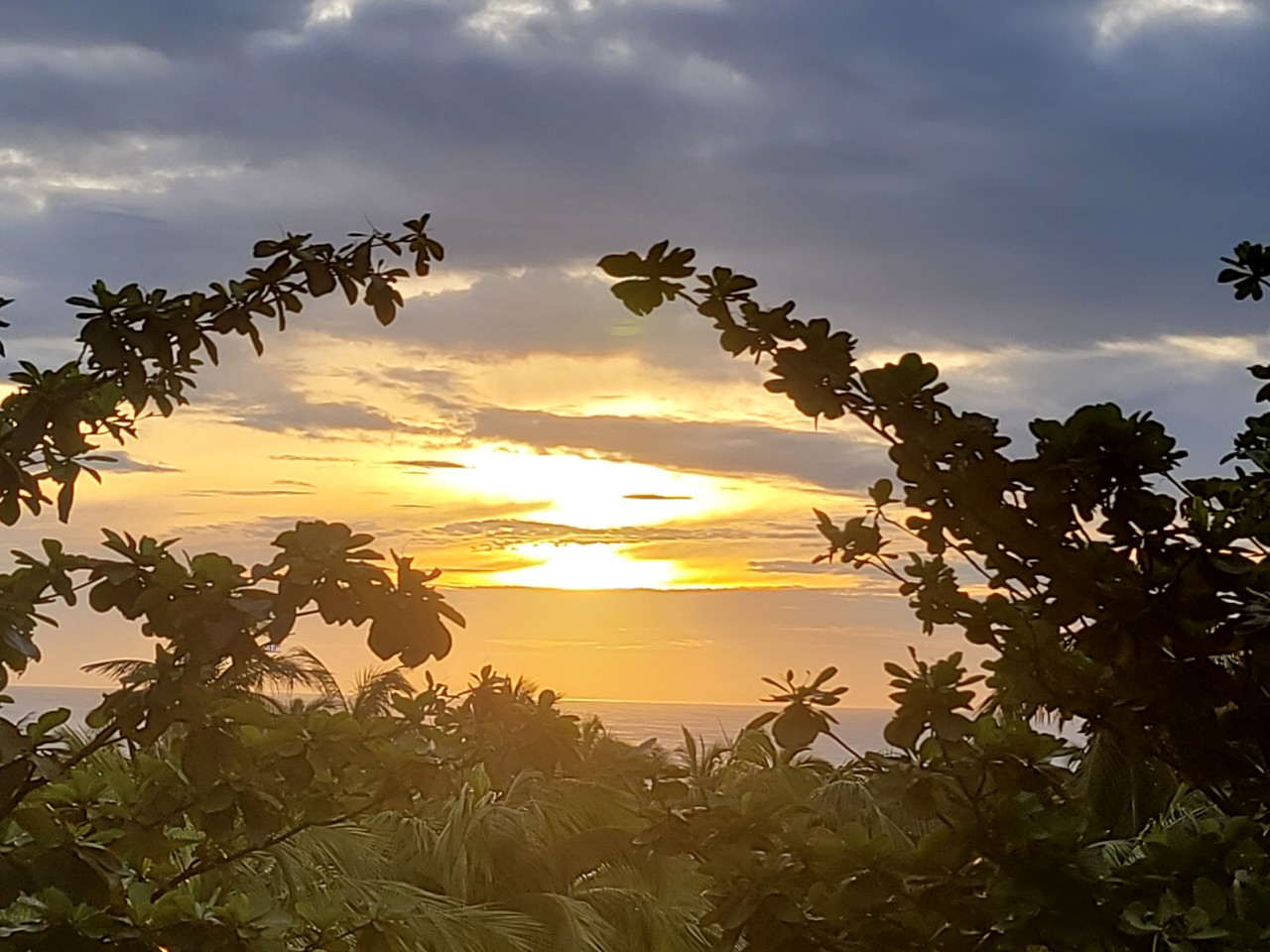 c4e4265d8837a05741f9d33e9fdf767c_1742538