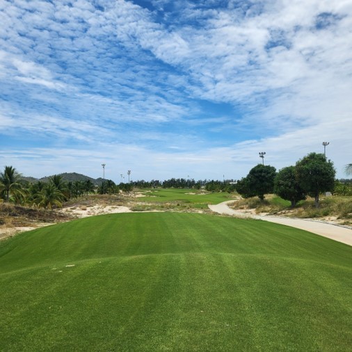 f6b8faacdab246a6d598695f82598e8e_1742368