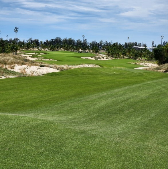 f6b8faacdab246a6d598695f82598e8e_1742368