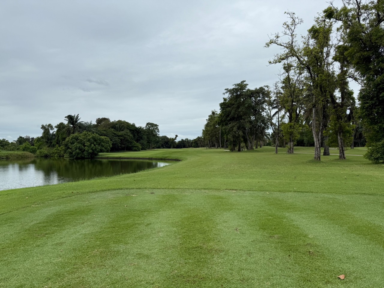 4b4935e2837448611dfbc2b0d5723352_1761121