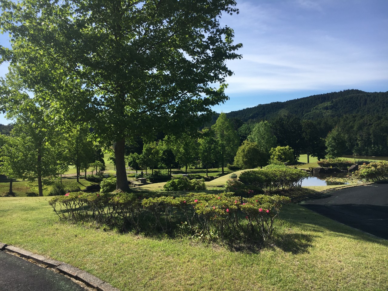 592d4f003f43a6beee426df881024864_1760501