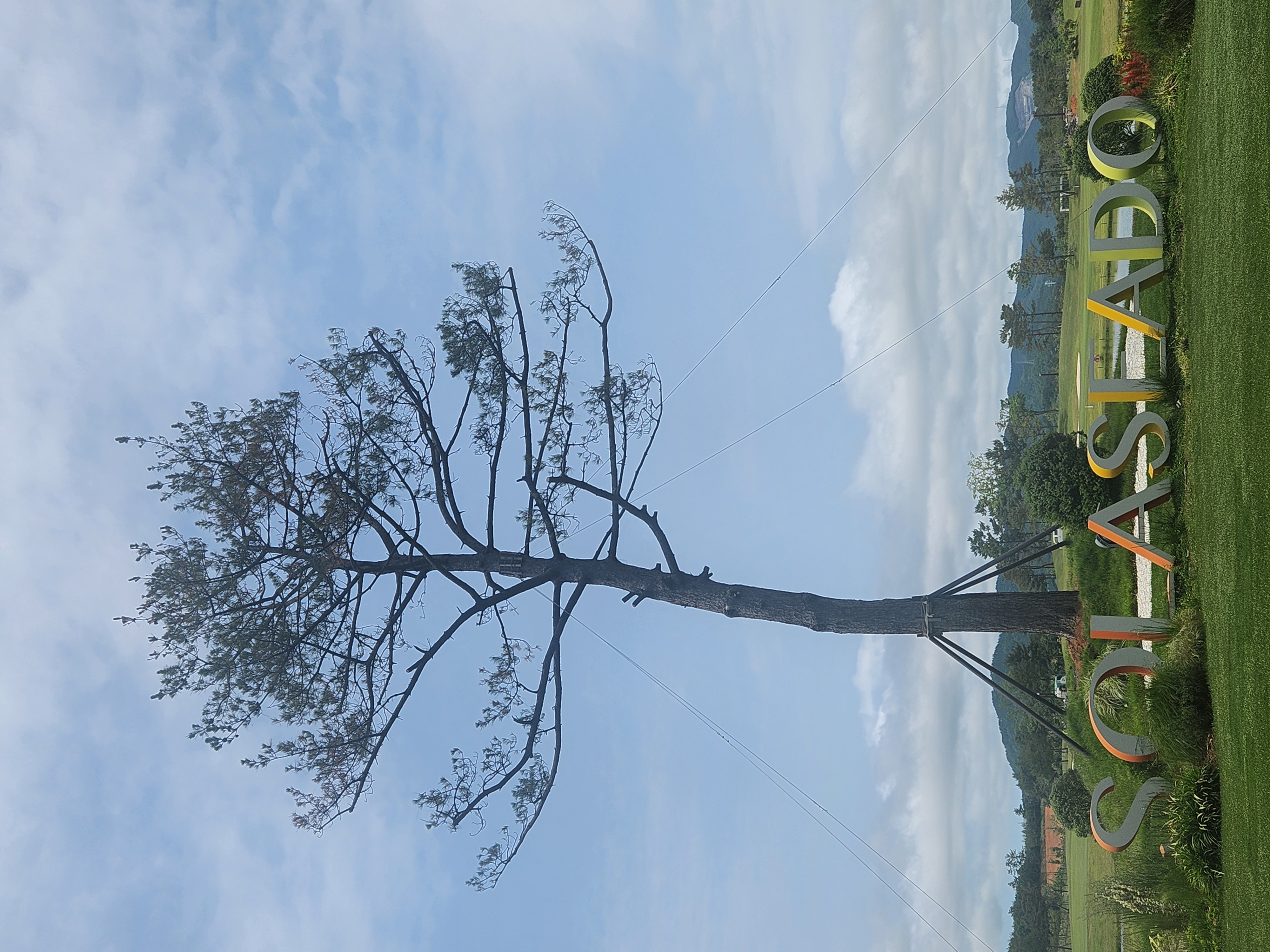 4b97b3c3688fbb1534085163595c3de9_1762755