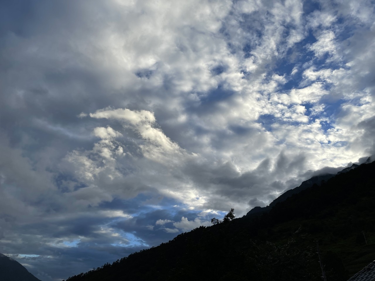 cc83af4642a3558e8da8383f165da937_1763626000_358193.jpg cc83af4642a3558e8da8383f165da937_1763626