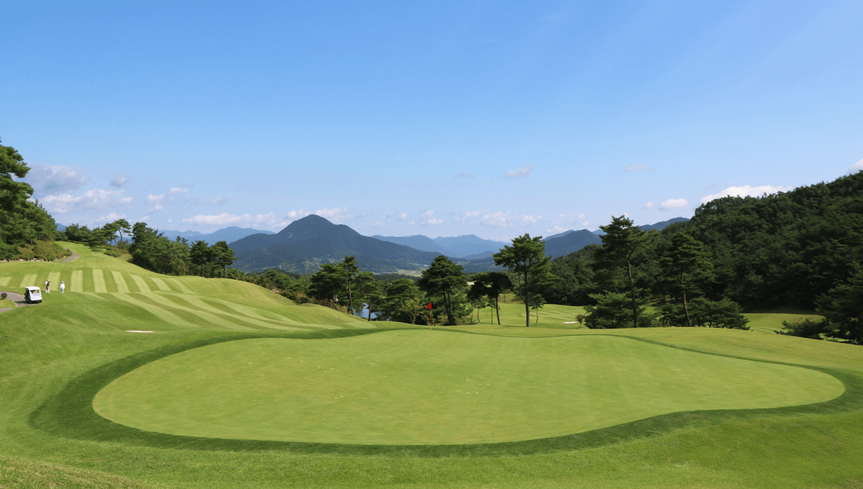 cfe0096c0f49c7da7c2d383bf01dbbeb_1764042