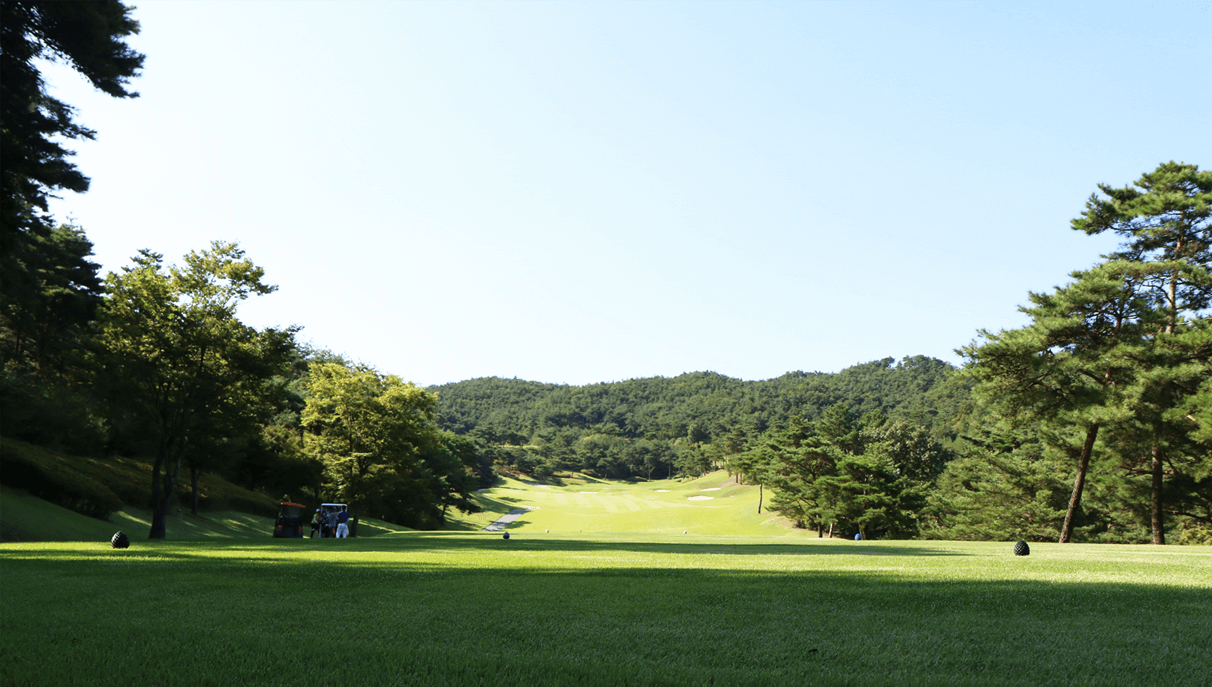 cfe0096c0f49c7da7c2d383bf01dbbeb_1764042