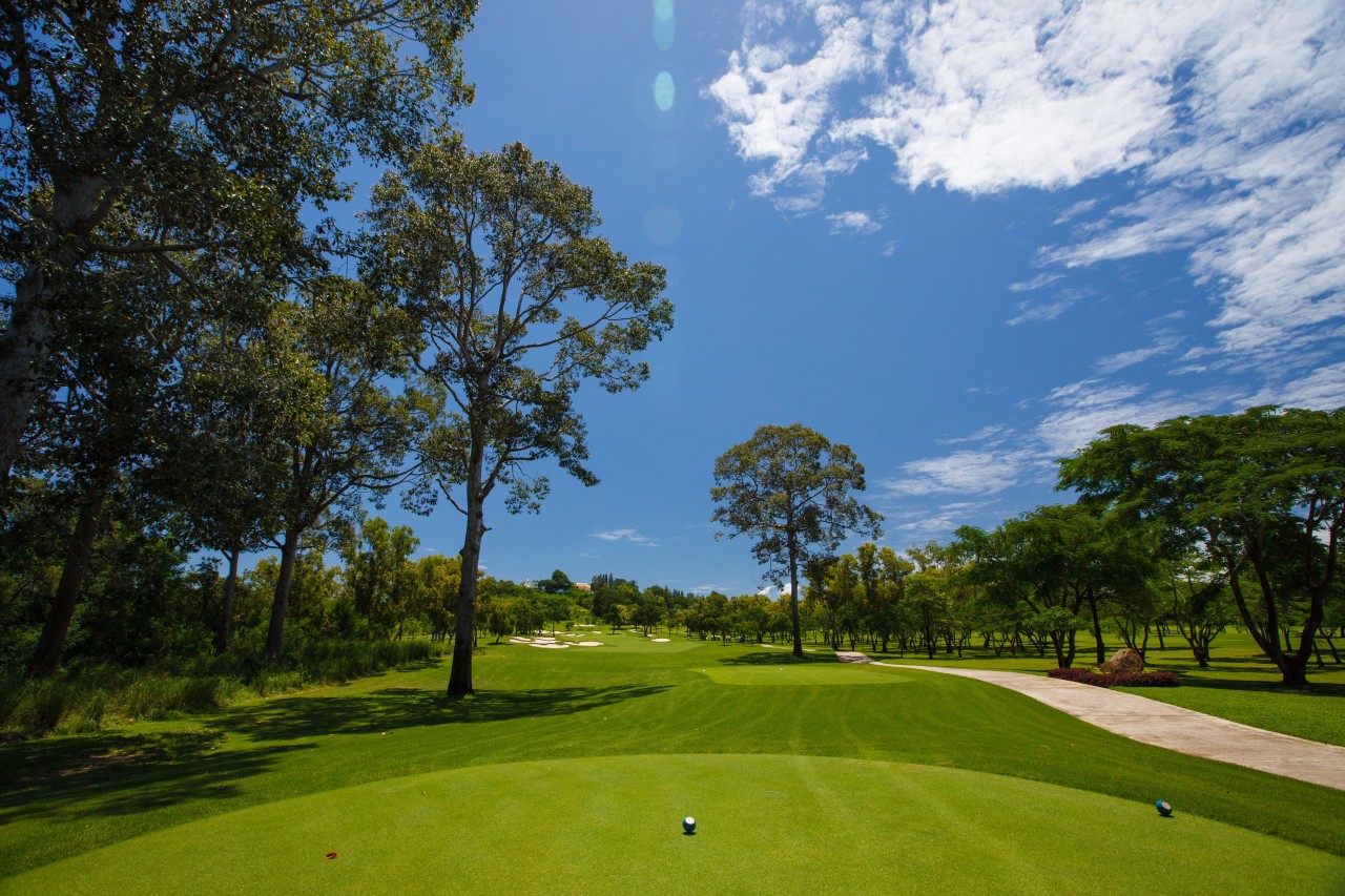 eda55fb186377b1db283c6cd839250e5_1763371