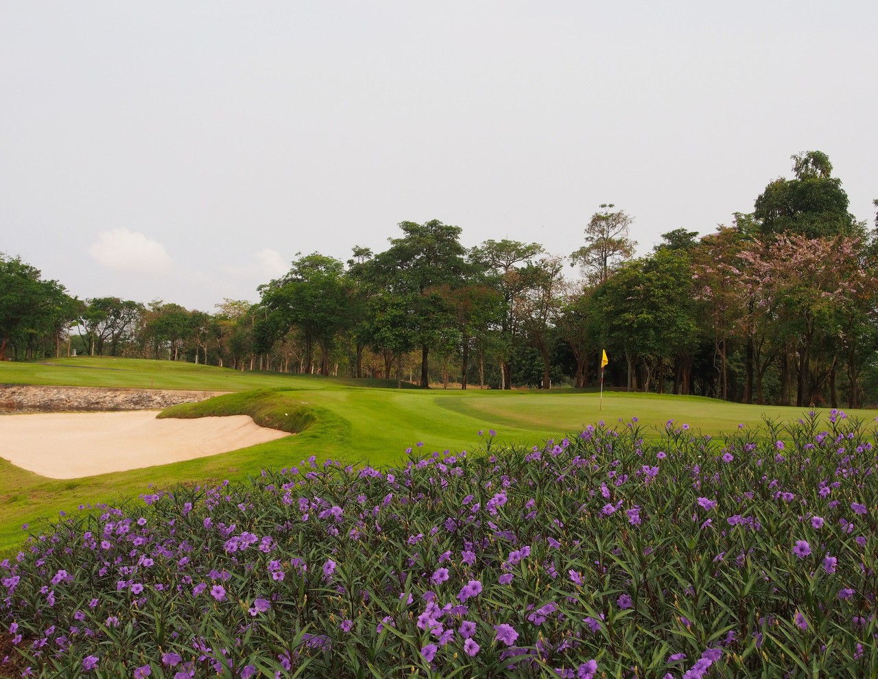 eda55fb186377b1db283c6cd839250e5_1763371