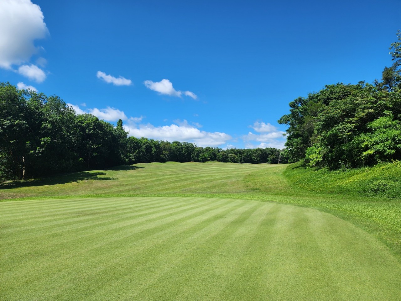 4bb789af435996daadd68764b8f3db1c_1765939