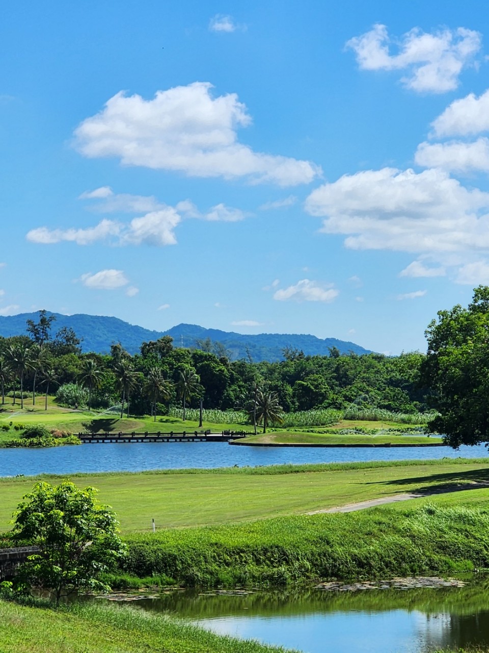 4bb789af435996daadd68764b8f3db1c_1765939